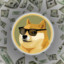 DogeCoin Millionaire