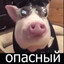 Даня Разливное