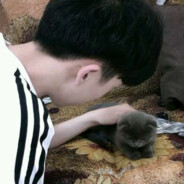 闫情俊默思今欢