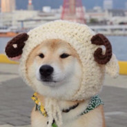 叼着奶瓶拯救世界