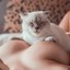 All of Cat.