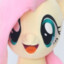 wtf un Poni