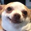 Happ Dawg