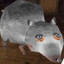The Giant Rat