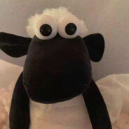 今天的风依旧很大