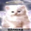 L1nk