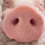 高端的敌人往往以队友的形式出现