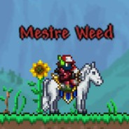 Mestre Weed