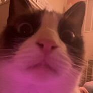 Maciek O_O