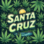 ☮SANTA_ﻁﺹ_CRUZ☮