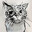 MrMeowMeow-Q