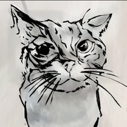MrMeowMeow-Q