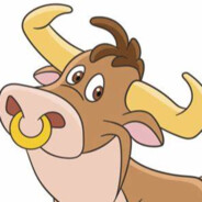 野牛教副使李超大牛牛