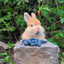 basementbunny<3