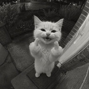 joint Steam avatar