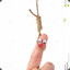 ✽ Flower Anal ✽