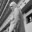 Nugs