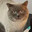 ᵖᵃᵇˢ