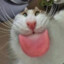 - ̗̀ Mountweda ̖́-