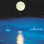 Nightfly