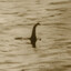 THE GODDAMN LOCH NESS MONSTER