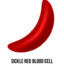 Sickle Cell