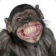 Schtroumpfs Mi couille