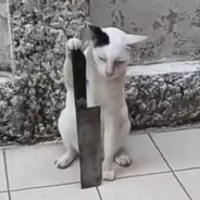 Legolas