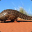 Pangolin