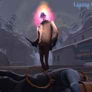 Llama Commander