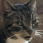 sir swidster