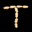 T-Bone Peanut