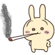 usagi兎
