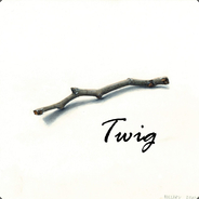 Twig