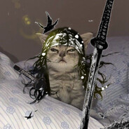 Miyamoto Meowsashi