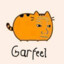 Garfeel