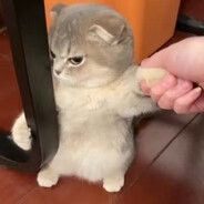 有钱方解安全裤