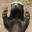 Honey_Badger