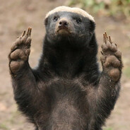 Honey_Badger