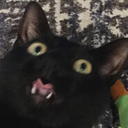 Roman Black's Avatar