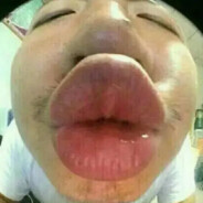 爱意随风起风止意难平