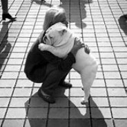 遗憾吹进晚风里