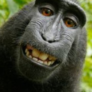 anzz - steam id 76561198089267172