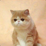 ④吗暴雪服务qi