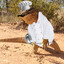 Chef Lizard
