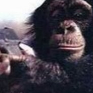 monkey with a gun