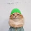 pipito