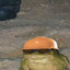 P1nball's avatar