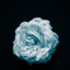 StoicFlower
