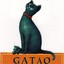 Gatão